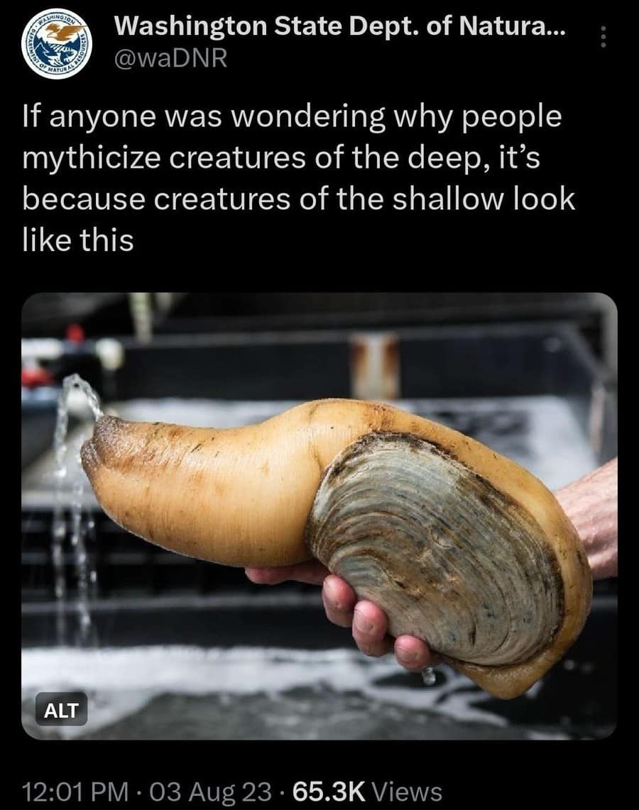 funny government agency tweet showcase inside a meme dump from the Washington State Dept. of Natural Resources (@waDNR), stating that people only mythicize creatures of the deep ocean because shallow-water creatures look like the attached image of a person holding a massive, bizarrely shaped geoduck clam squirting water.