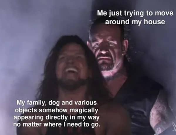 The Undertaker standing menacingly behind AJ Styles used as a meme about household obstacles and family members.
