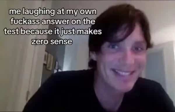 Meme featuring actor Cillian Murphy smiling about writing a completely nonsensical answer on an exam paper.