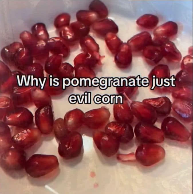 Absurdist food science memes macro featuring a close-up photo of bright red pomegranate seeds scattered across a white surface, topped with the thought-provoking text: "Why is pomegranate just evil corn."