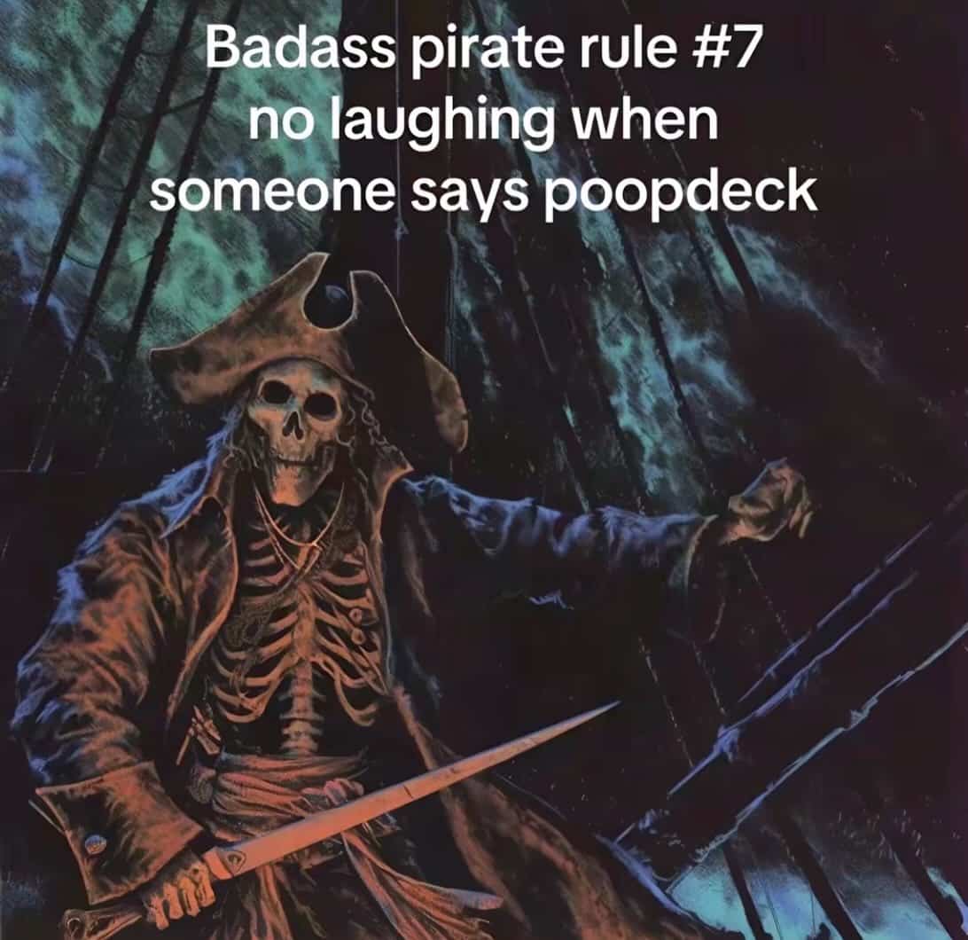 Skeletal pirate holding a cutlass sword with funny rules printed at the top.