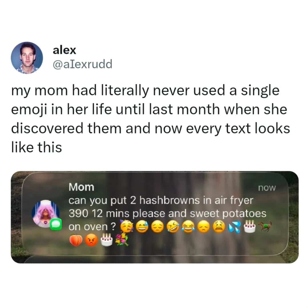 Funny text message from a mom overusing dozens of random emojis to explain air fryer instructions.