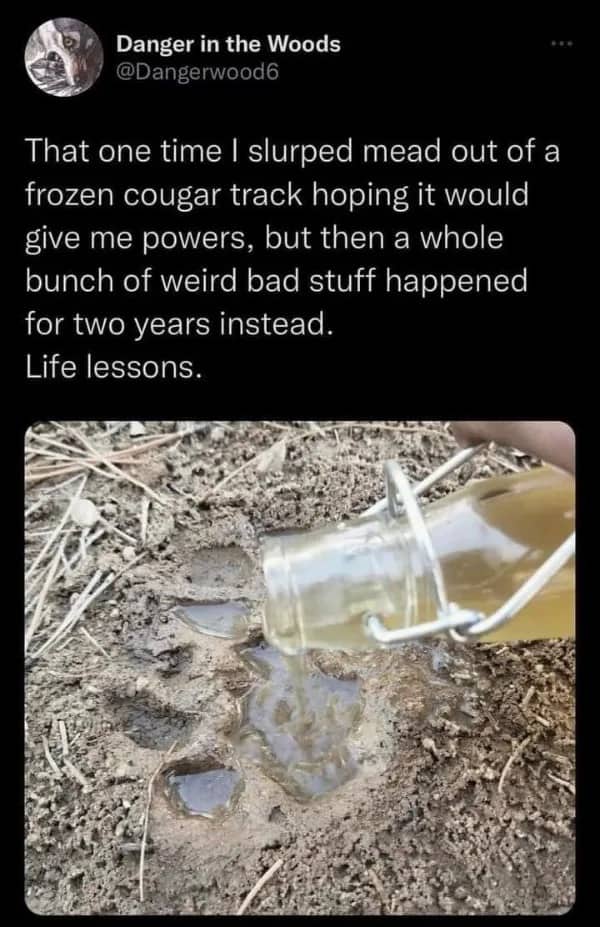 Funny social media post meme about pouring mead into a frozen cougar track print.