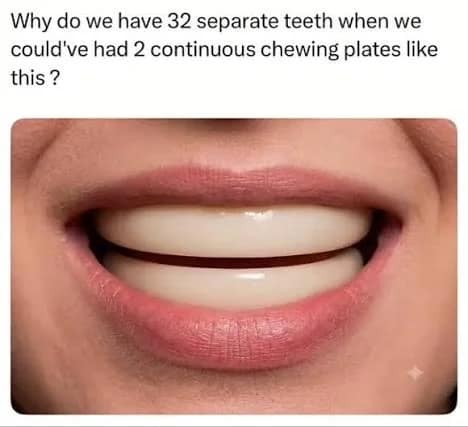 An unsettling anatomy concept floating around viral memes, showing a close-up of a human smile modified to feature two perfectly smooth, continuous solid white blocks of upper and lower teeth plates instead of 32 individual teeth.