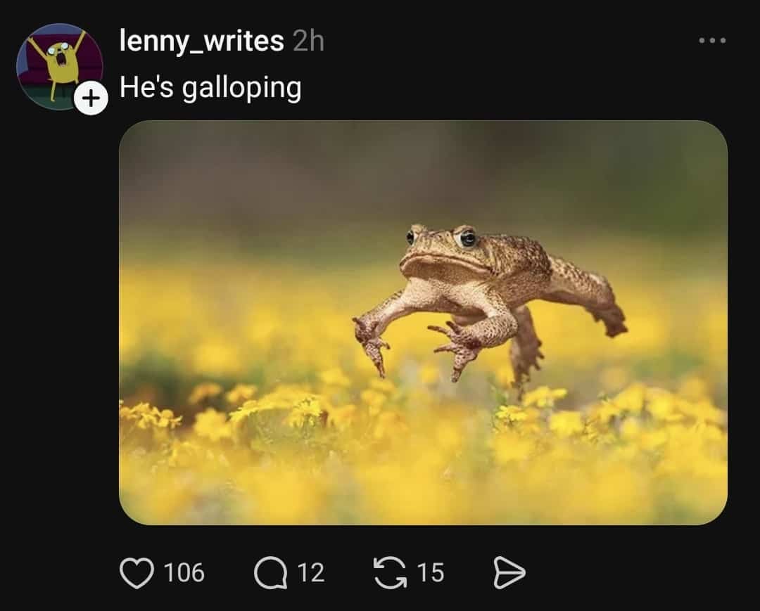 Nature photograph of a toad mid-hop over yellow flowers captioned with the phrase he is galloping.