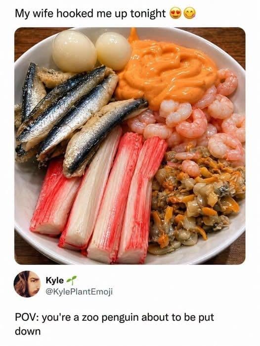 A savage social media screenshot included in popular memes, showing a bowl packed with unappealing raw seafood items, sardines, and imitation crab under the caption "My wife hooked me up tonight," met with a comment reading: "POV: you're a zoo penguin about to be put down."