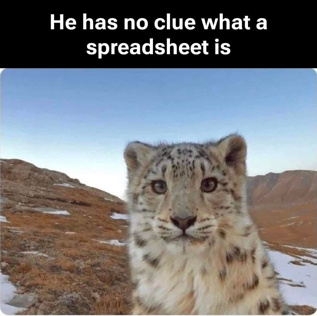 An animal-themed favorite in current memes, featuring an adorable close-up portrait of a fluffy snow leopard cub against a mountain backdrop with the header text: "He has no clue what a spreadsheet is."