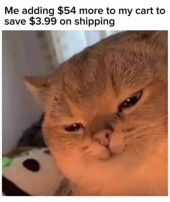 Smug cat face meme about spending extra money on items to get free shipping.