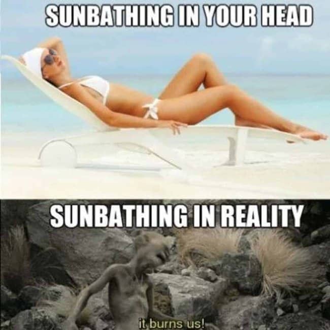 Split panel comparing glamorous beach sunbathing expectations with Gollum burning in reality.