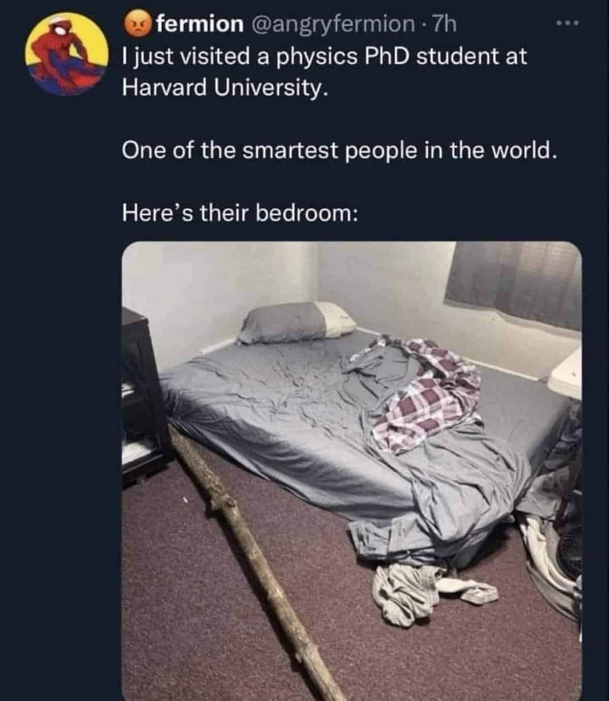 A viral academic housing tweet functioning as a memes with twist endings macro, showing a Harvard physics PhD student's sparse room containing a mattress on the floor and a massive tree branch kept as defense or decoration.