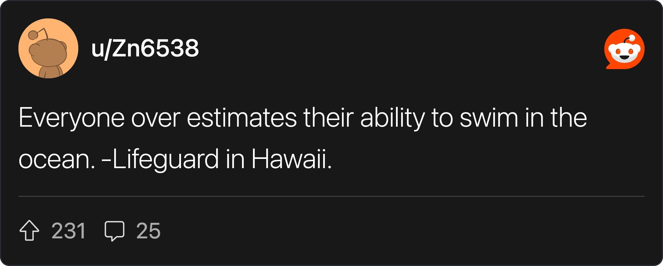 A blunt Reddit comment from a Hawaiian lifeguard about tourists overestimating their open ocean swimming skills.
