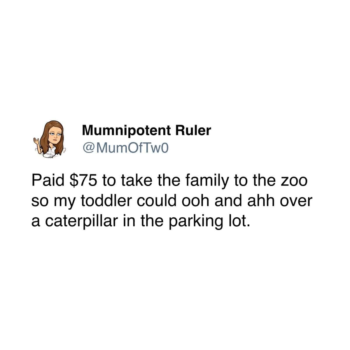 Digital text snippet saved as a parenting meme by Mumnipotent Ruler recounting a seventy-five dollar family zoo trip completely upstaged by a common gravel parking lot bug.