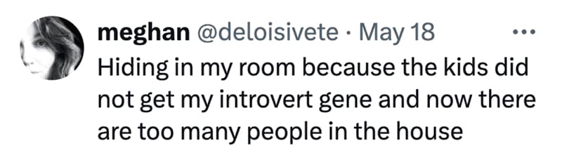 X platform post operating as a relatable parenting meme by user @deloisivete describing an introverted mother hiding in her room from her highly overstimulating, extroverted kids.