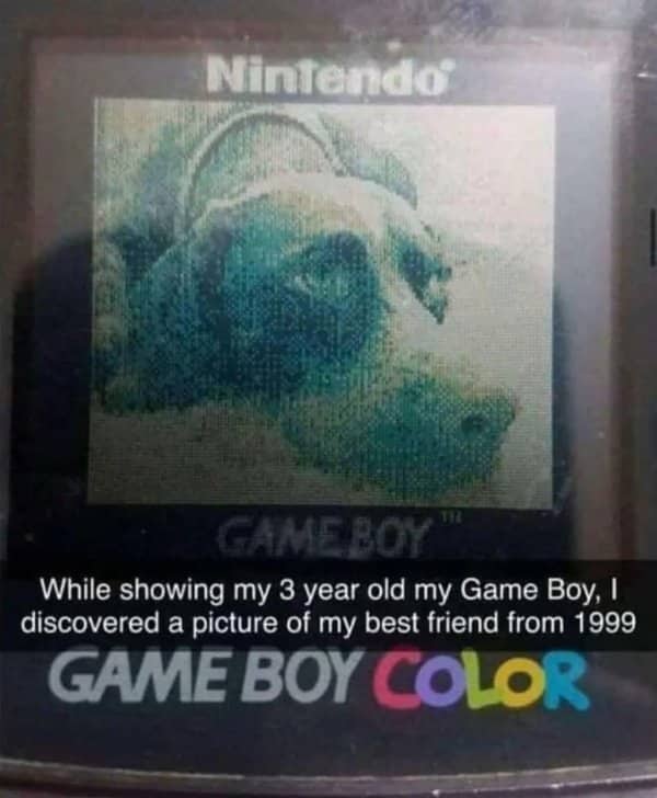 A vintage pixelated photo of a dog displayed on a retro Game Boy Color screen.