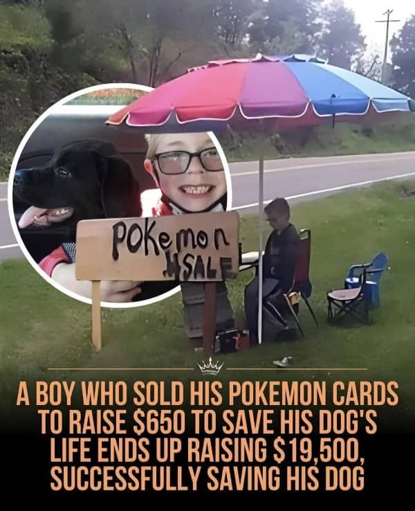 A young boy sitting under an umbrella at a road-side stand selling Pokemon cards for his dog.