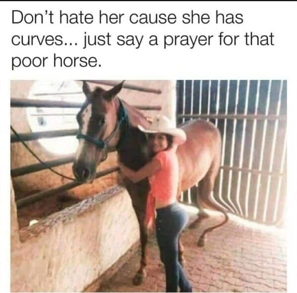 A woman posing next to a horse in a stable under text mocking her curves, where the heavy wooden fence bars in the background are violently bent out of shape due to a liquify tool photoshop fail.