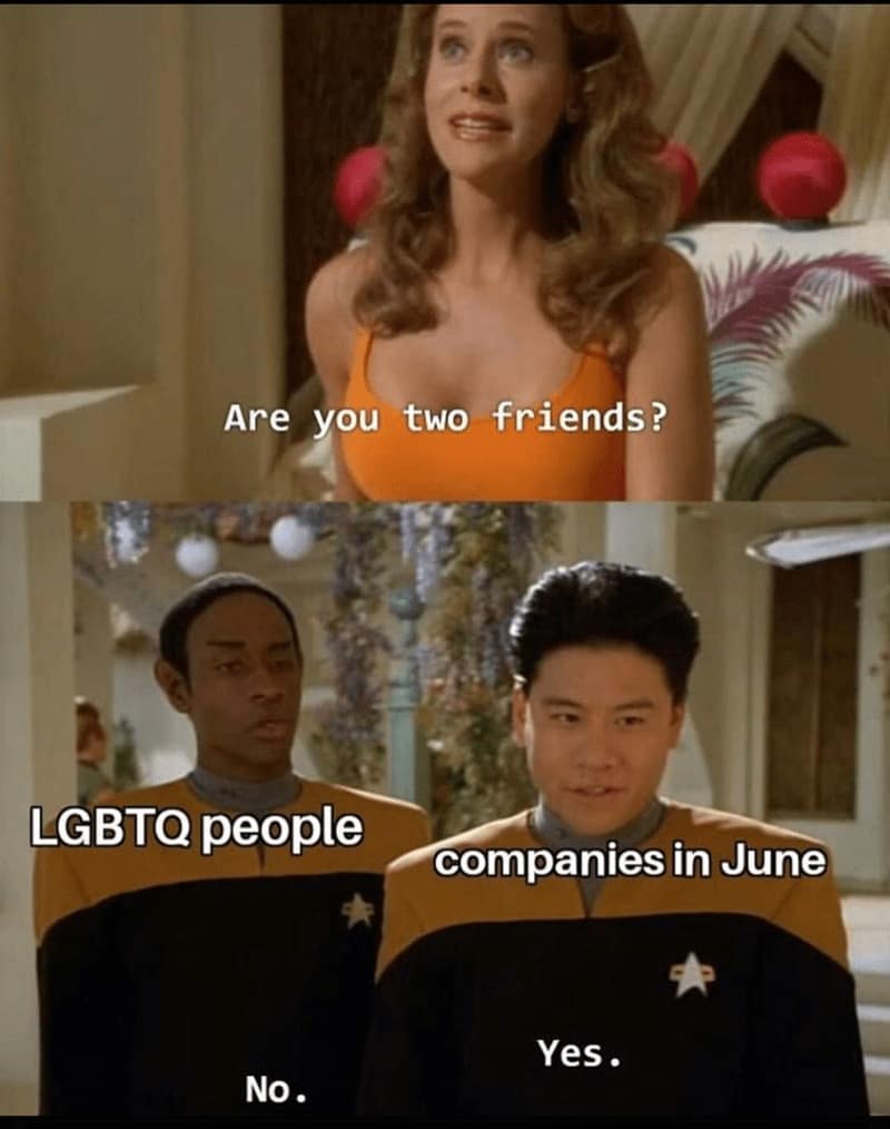 A Star Trek Voyager template repurposed as a corporate critique pride meme, where a character asks "Are you two friends?", leading "LGBTQ people" to answer "No" while "companies in June" assert "Yes."
