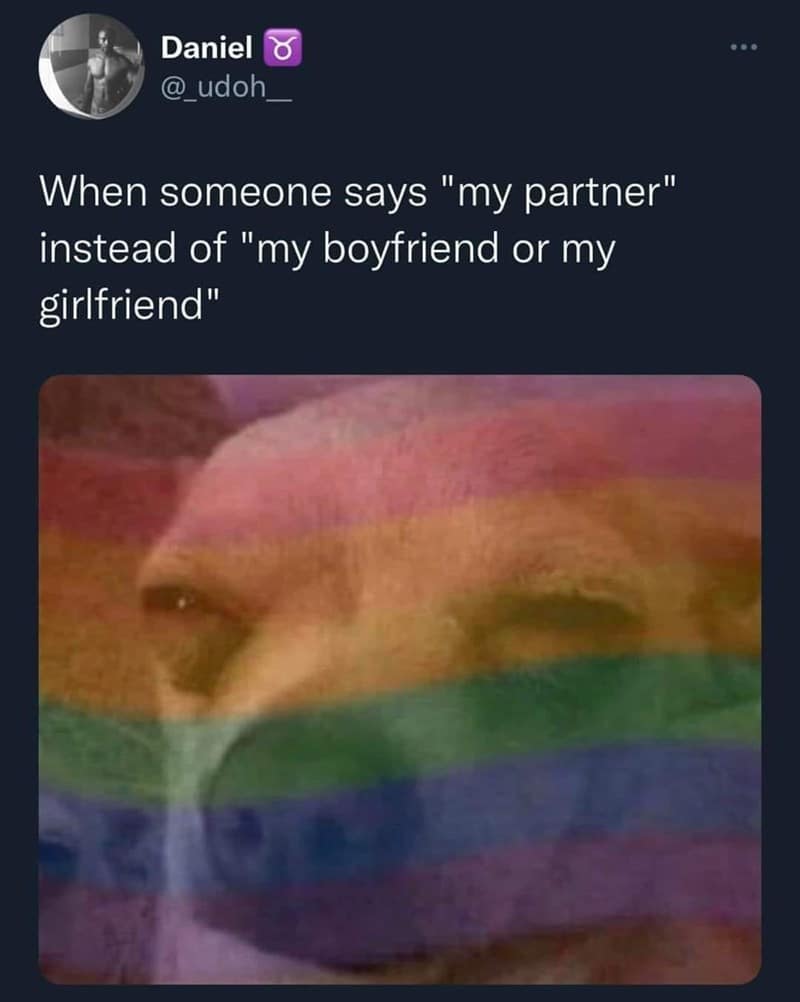 A relatable modern lingo pride month meme showcasing a tweet about trying to decode someone using the gender-neutral term "my partner," paired with a blurry, ultra-suspicious dog face overlaid with a vibrant rainbow gradient.