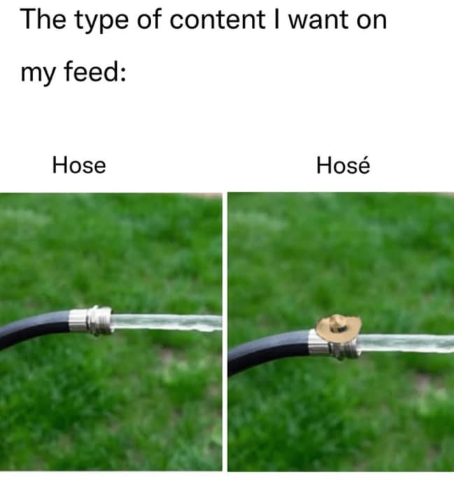 This incredibly clever punny meme features a side-by-side comparison under the header text, "The type of content I want on my feed:". The left panel is labeled "Hose" and shows a standard garden hose spraying water over grass. The right panel is labeled "Hosé" and shows the exact same hose, but with a tiny brown sombrero photoshopped directly onto the metal nozzle connection.