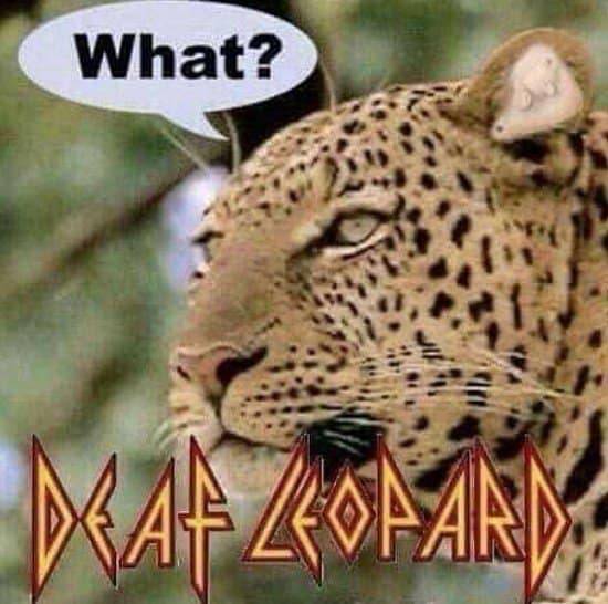 Celebrating classic rock and animal wordplay, this funny pun graphics template blends a nature documentary with music history. The image displays a close-up profile of a spotted leopard with a giant human ear seamlessly photoshopped onto its head, complete with a speech bubble reading "What?" and stylized text at the bottom reading "DEAF LEOPARD."
