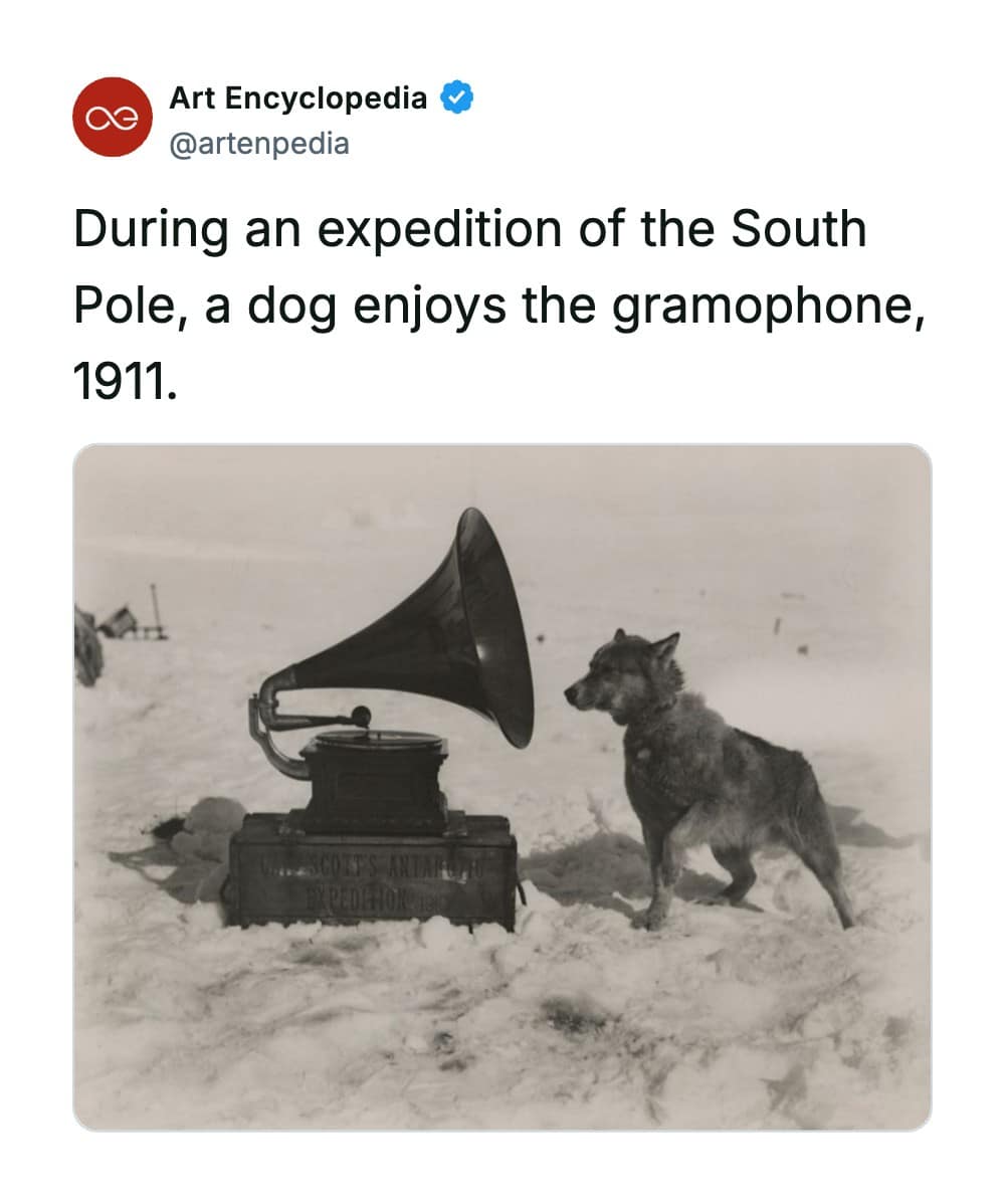 A rare historical photo from a 1911 South Pole expedition, showing a sled dog standing in the deep snow and listening intently to a portable horn gramophone. The record player is mounted on a wooden transport box clearly stenciled with the text 'Captain Scott's Antarctic Expedition 1910'.