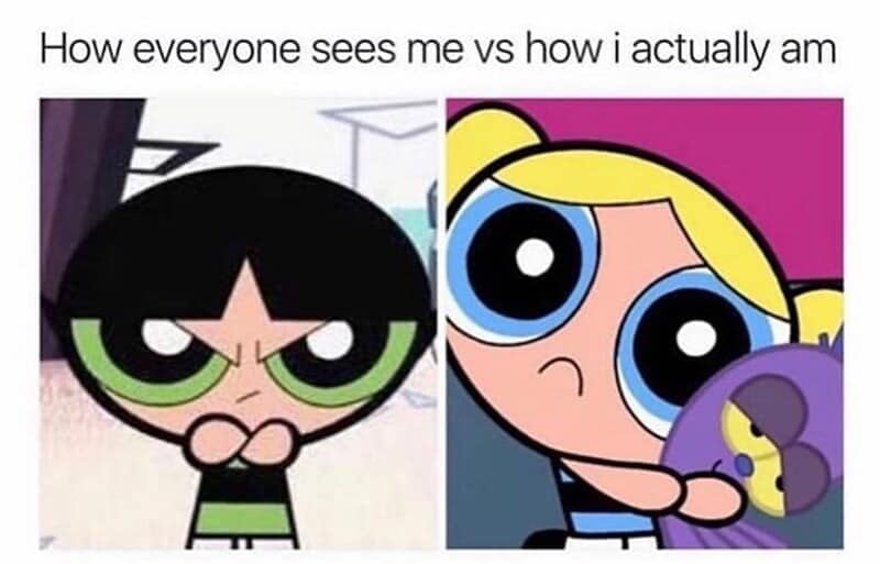 Buttercup and Bubbles character comparison frames mapping internal versus external personality traits in a wholesome relationship meme.