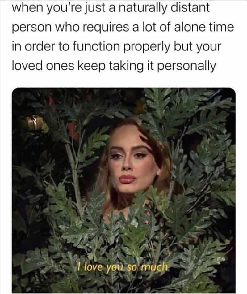 Adele peering out from dense green foliage with love subtitles under an introverted relationship text block inside a wholesome relationship meme.