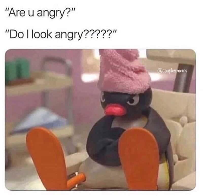 Pingu the penguin claymation character wearing a pink towel while scowling in an angry argument template inside a wholesome relationship meme.