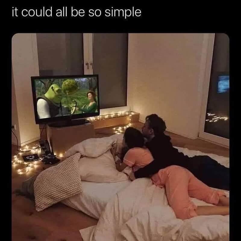 Couple cuddling on floor mattress watching Shrek movie illustration featured in a text-based wholesome relationship meme.