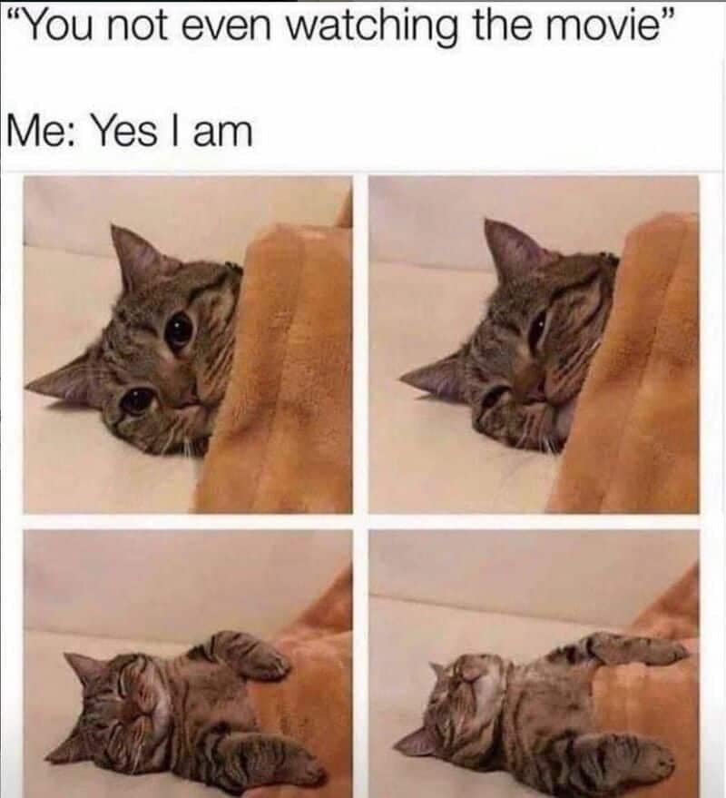 Tabby cat falling asleep under blanket grid layout presenting movie watching dialogue text in a wholesome relationship meme.