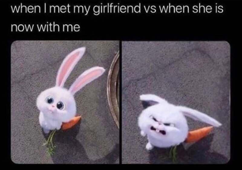 Snowball the rabbit character transformation comparison panels creating an ironic relationship-themed wholesome relationship meme.