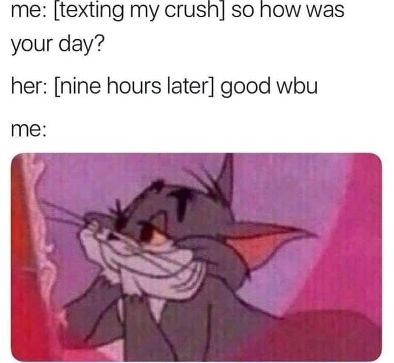 Tom the cat mirror reflection screenshot template depicting late text reply dialogue in a wholesome relationship meme.