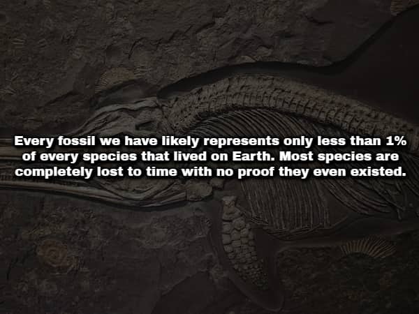 Fossilized skeleton of a prehistoric marine reptile embedded in rock with text about lost species.