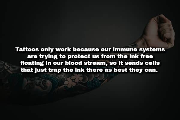 A person’s tattooed arm flexing against a dark backdrop with text explaining immune responses to ink.