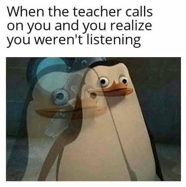 Relatable classroom meme showing an existential penguin staring blankly after being called on.