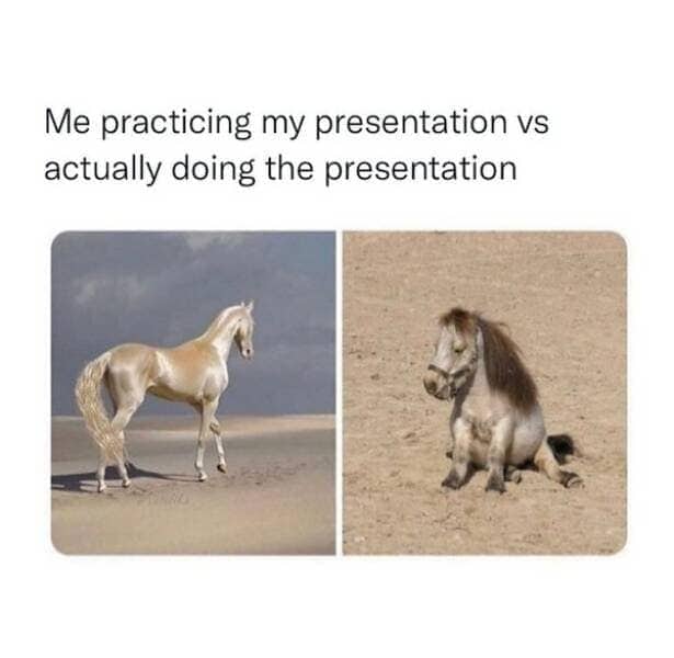 Humorous presentation meme comparing a majestic stallion to a small slouching pony.