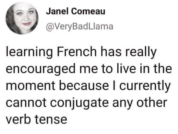 Social media post by VeryBadLlama joking that learning French limits you to the present tense.