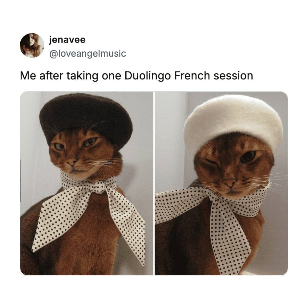Side by side images of a brown cat wearing a beret and polka dot scarf.