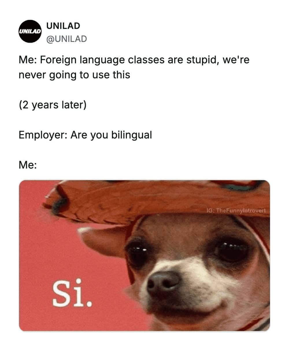 Unilad meme showing a crying chihuahua in a sombrero responding to a language fluency question.