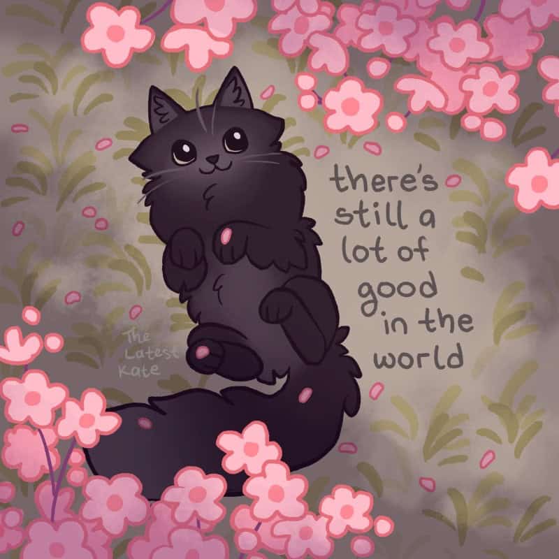 A heartwarming single panel comic from the latest kate comics featuring a fluffy black cat rolling playfully on its back in a patch of green grass, surrounded by blooming pink flowers under the handwritten text: "there's still a lot of good in the world."