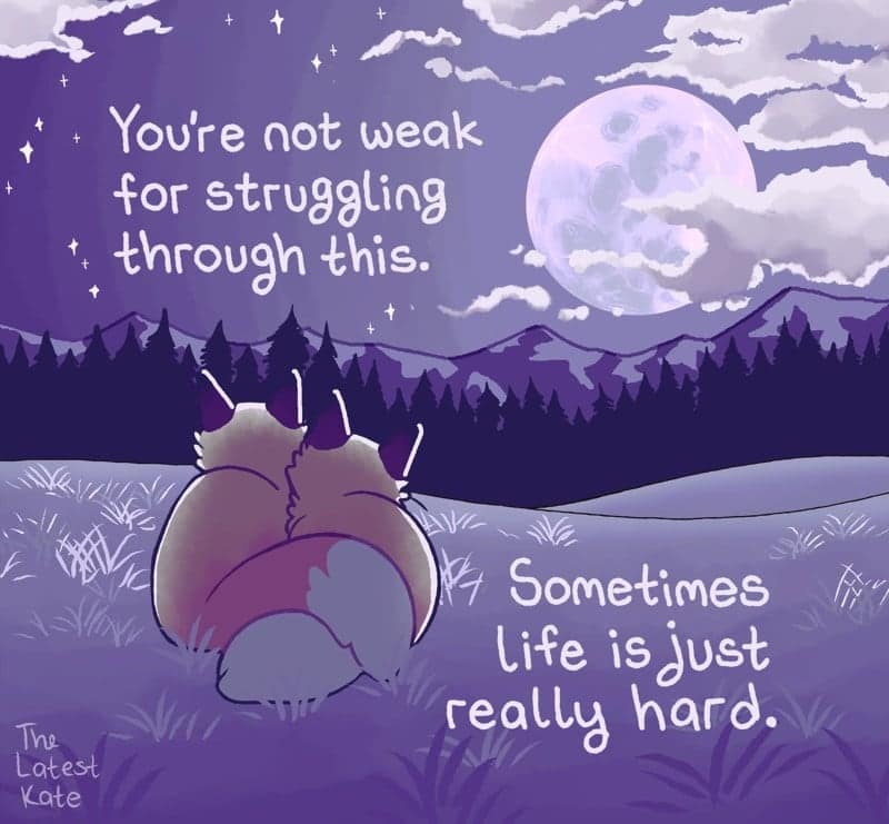 A night-mode single panel comic from the latest kate comics showcasing two fluffy red foxes sitting side-by-side from behind on a hill, looking up at a massive glowing full moon in a deep purple sky, surrounded by the words: "You're not weak for struggling through this. Sometimes life is just really hard."