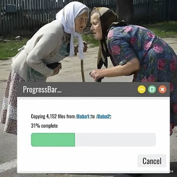 Meme showing two older women whispering with an overlay window displaying a progress bar data transfer.