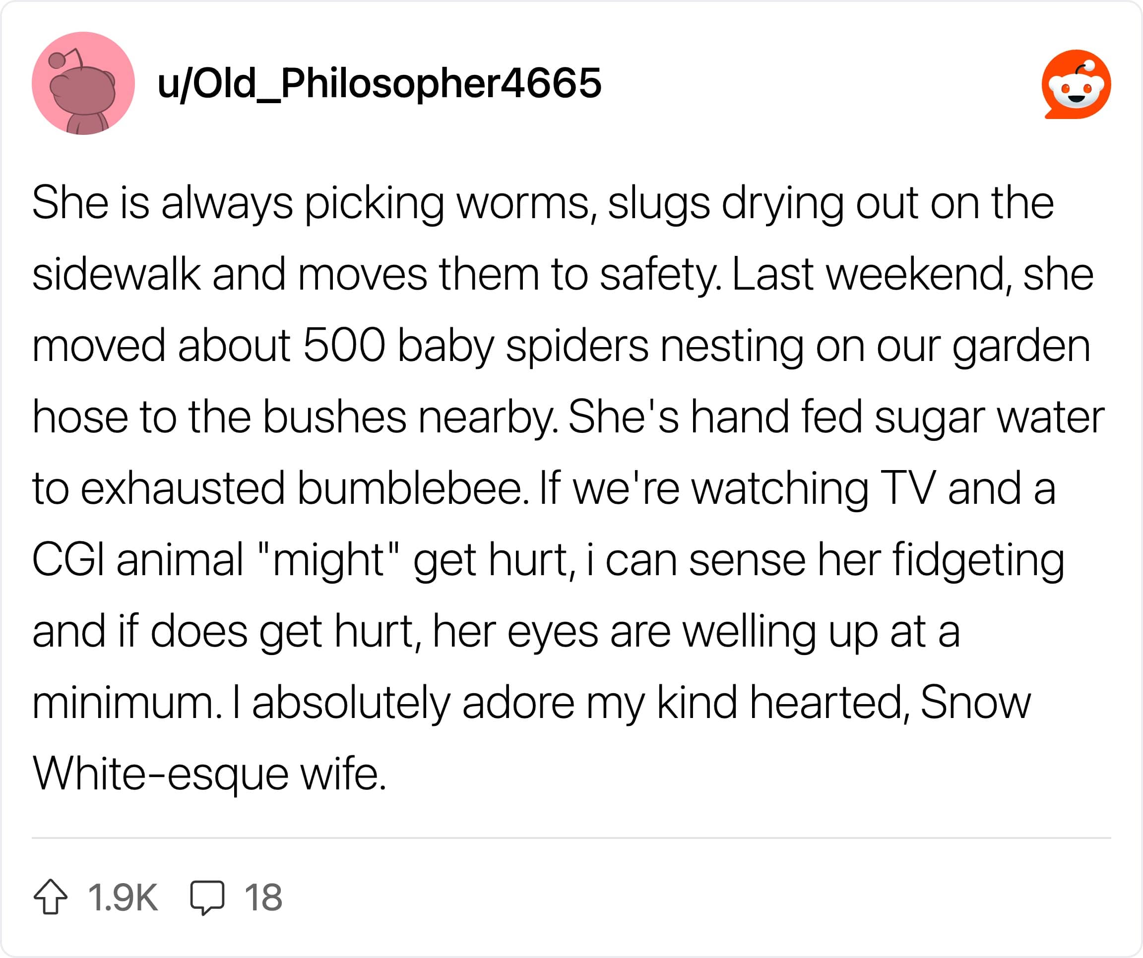 A Reddit user detailing his wife's habit of rescuing bugs and hand-feeding tired bees.