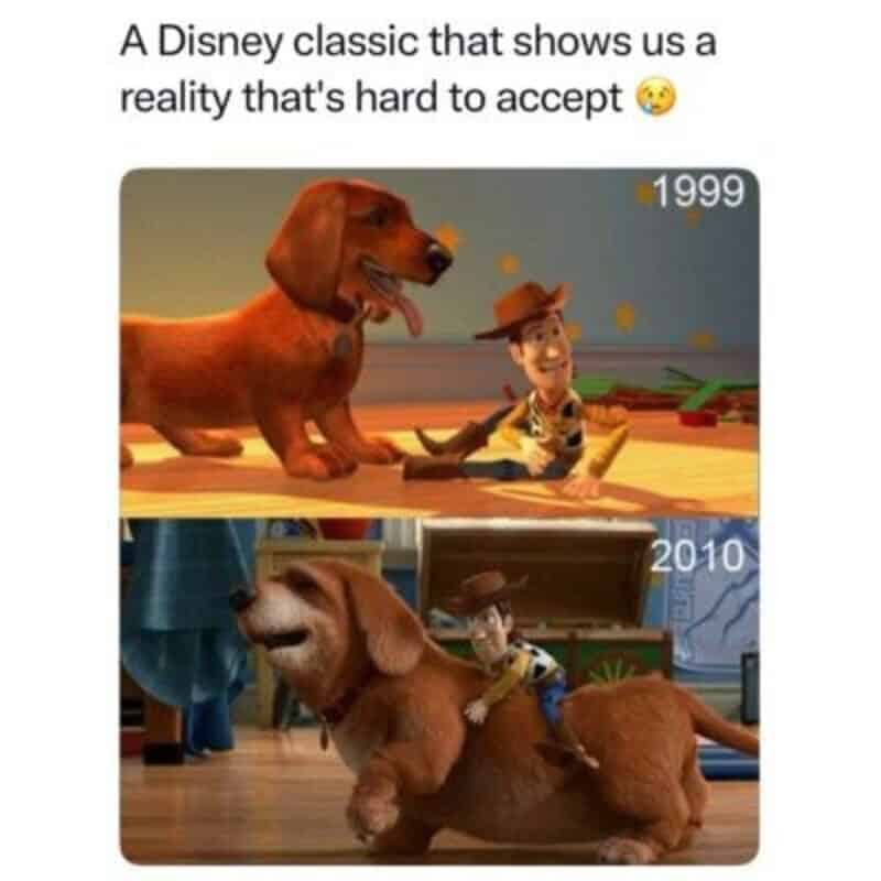 A comparison meme showing Andy's dog Buster vibrant in 1999 and senior in 2010.