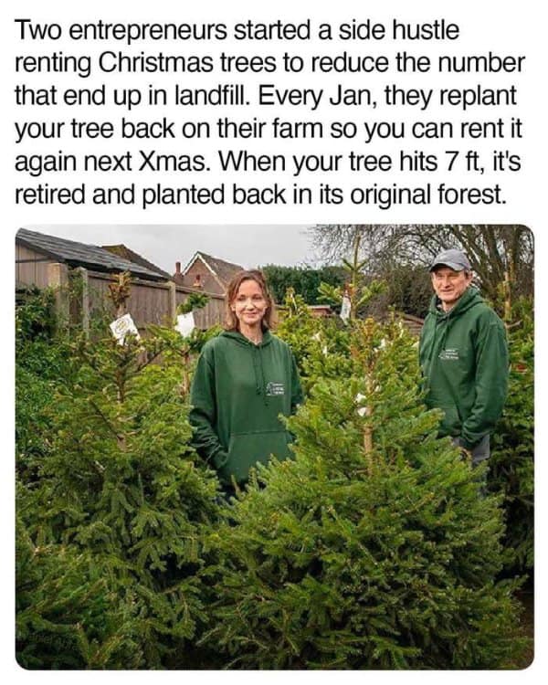 A sustainability infographic functioning as a wholesome meme, showing two smiling entrepreneurs in green hoodies standing in a field of fir trees under a text block explaining their Christmas tree rental program that saves trees from landfills and safely retires them back into the forest.