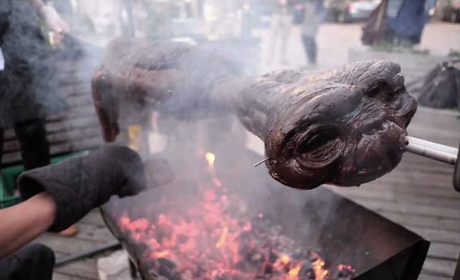 Realistic ET alien prop being roasted on a spit barbecue grill over hot coals.