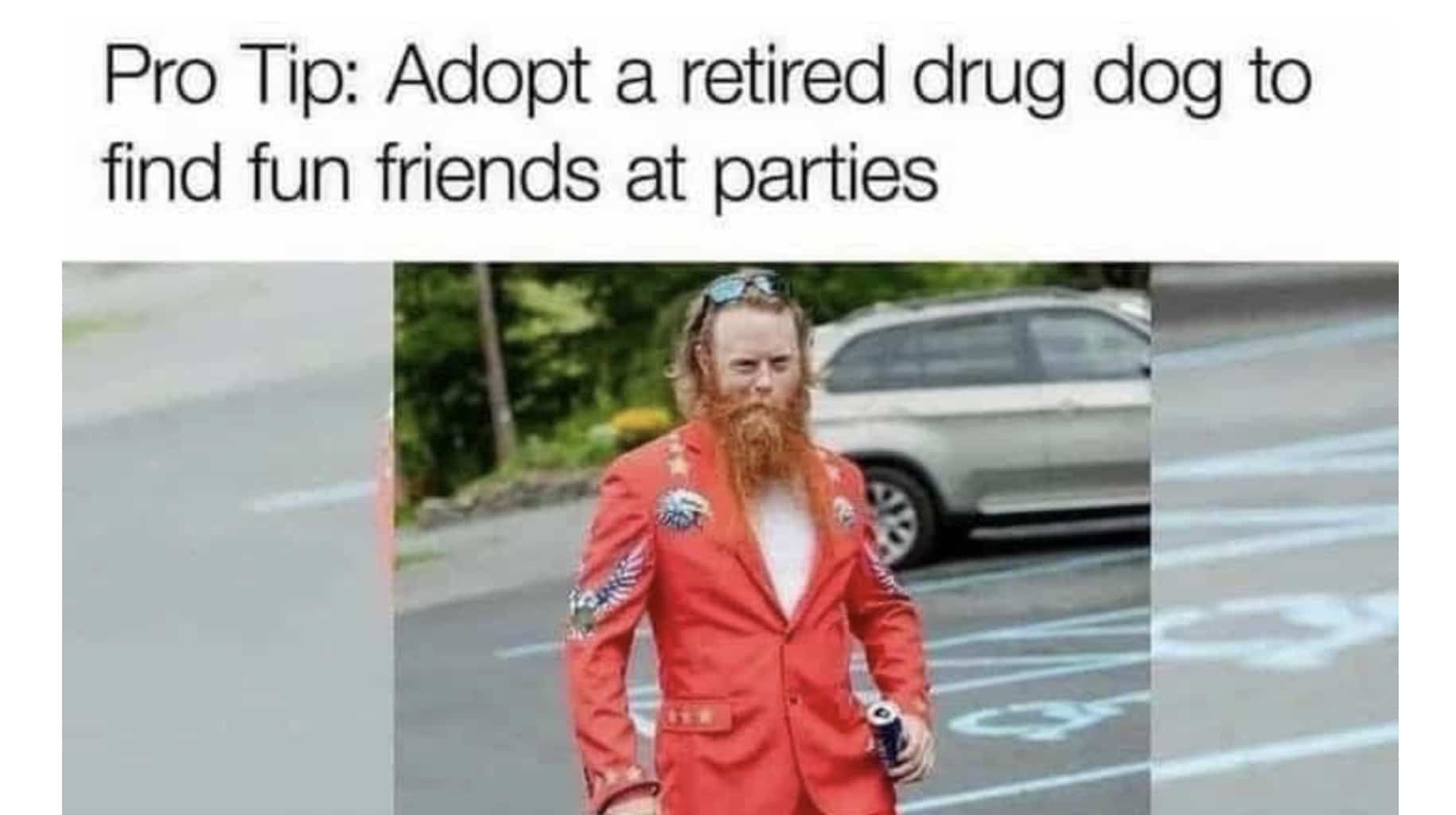Funny memes advice text about adopting a retired drug dog above man in red suit.