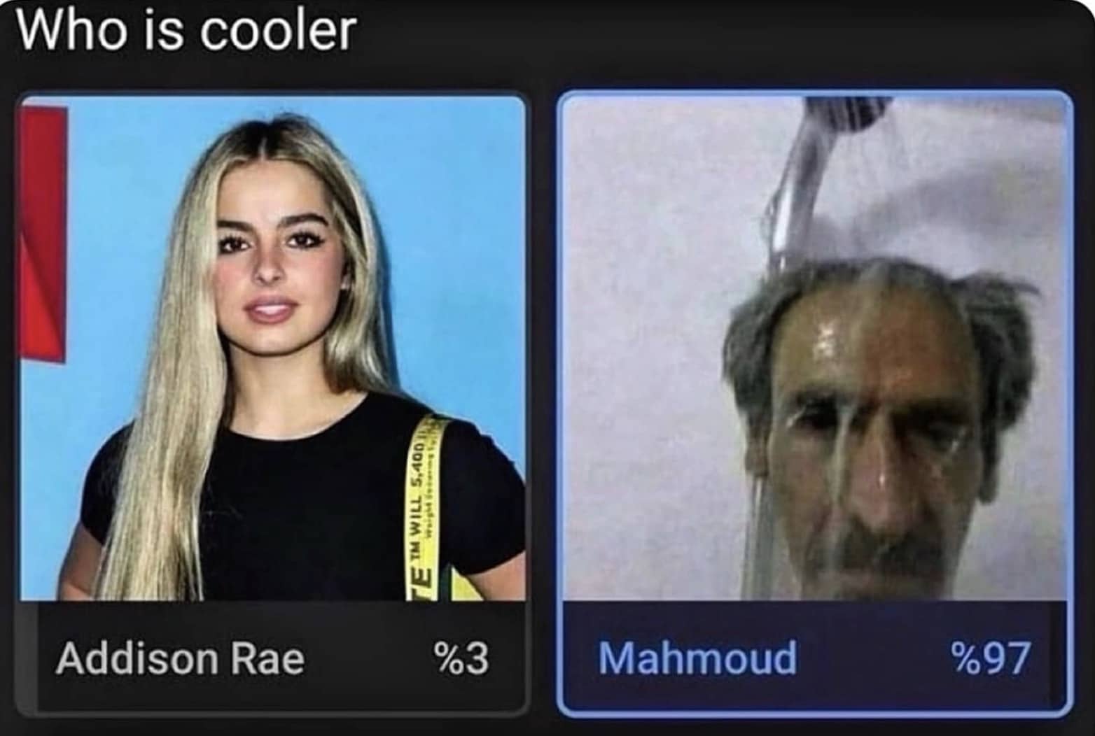 Online poll comparing Addison Rae and Mahmoud with funny memes percentage results showing who is cooler.