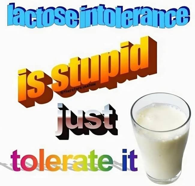 Graphic with colorful 3D retro text saying lactose intolerance is stupid just tolerate it.