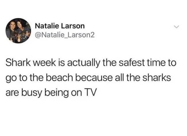 A Twitter post explaining why Shark Week is actually the safest time to swim at beaches.